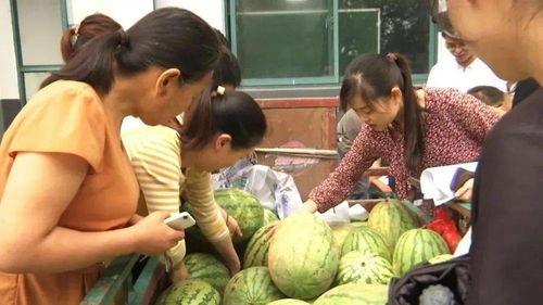 弋阳吃瓜群众事件,网络舆论下的社会现象解析