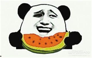 吃瓜群众梅大婶,揭秘娱乐圈那些事儿