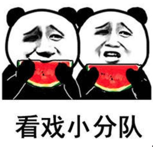 影视剧吃瓜群众表情包视频,笑料横生的幕后故事