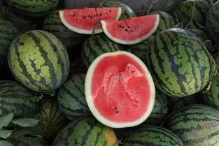 吃瓜群众买什么好吃的,吃瓜群众必尝的美味佳肴大盘点