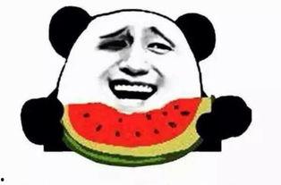 两只小狗吃瓜群众,两只小狗的瓜界传奇