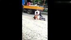 吃瓜群众出手打架,一场意外引发的街头激战