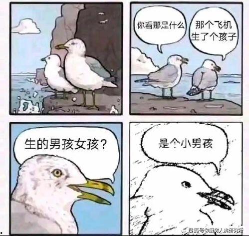 吃瓜群众手帐内容是什么,揭秘娱乐圈幕后故事