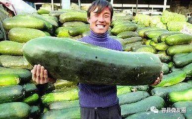 吃瓜群众爱吃肉肉,揭秘吃瓜群众对肉肉的热爱之谜