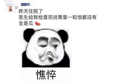 吃瓜群众每天放假,吃瓜群众欢乐多