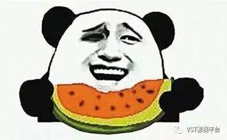 群众吃瓜抠画视频