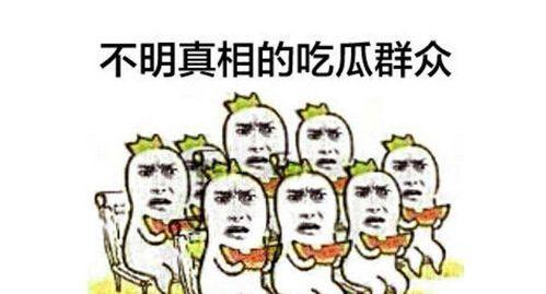 新北美吃瓜群众辟谣,揭秘网络谣言背后的真相