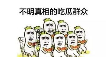 默默做个吃瓜群众也挺好,做个吃瓜群众的幸福指南