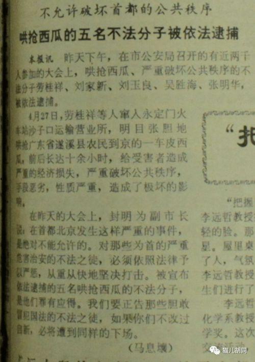 传书七十年代吃瓜群众txt,揭秘吃瓜群众的岁月记忆