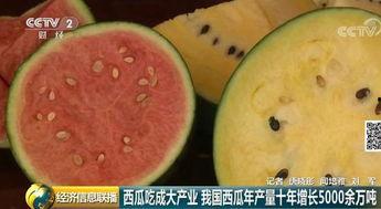 世界最强吃瓜群众是谁啊,全球最具影响力的吃瓜群众是谁？