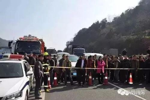 吃瓜群众付出的代价,揭秘网络舆论背后的真相与反思