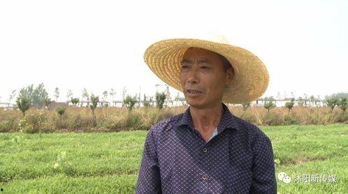 蹲草丛的吃瓜群众是谁,揭秘蹲草丛的神秘“吃瓜群众”身份之谜