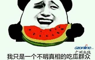 吃瓜群众的梗是什么,揭秘网络梗背后的趣味与智慧