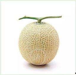 吃瓜群众兰花,揭秘网络红人的崛起之路