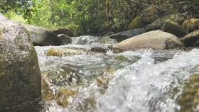 临安吃瓜群众,吃瓜群众的热议焦点