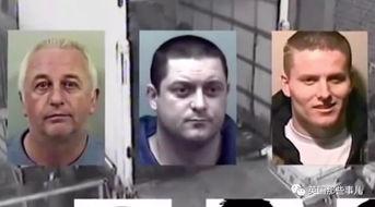 井陉县吃瓜群众案件,揭秘网络谣言背后的真相