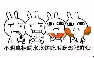 吃瓜群众起名字怎么起好,揭秘“吃瓜群众”命名背后的趣味与智慧