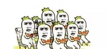 吃瓜群众kelly,揭秘娱乐圈幕后故事