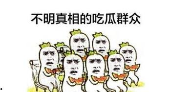 吃瓜群众表示没有必要,无需生成概述文章副标题