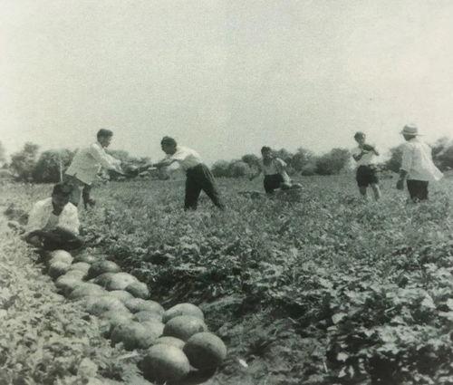 武宁县吃瓜群众事件始末