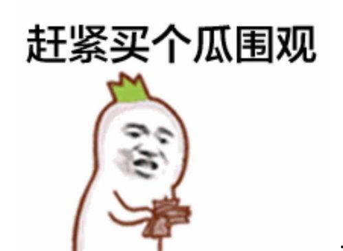 吃瓜群众放假视频大全集,视频大全集带你笑翻天