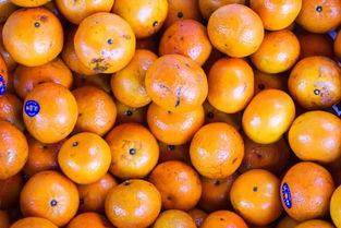 我是一名吃瓜群众,揭秘娱乐圈幕后风云