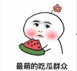 吴磊演吃瓜群众