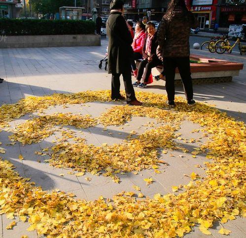 吃瓜群众秋风落叶黄