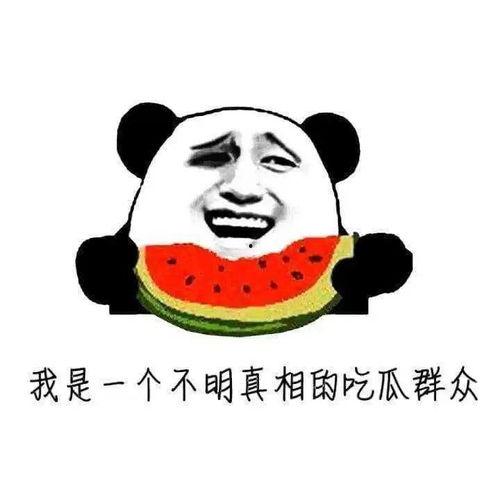 做好你的吃瓜群众