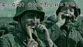 不明真相的吃瓜群众cos厄加特,一场不明真相的狂欢盛宴