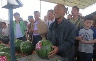 长春热心吃瓜群众视频,街头趣事一网打尽