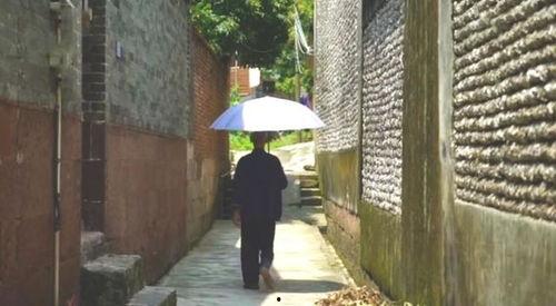 鲁南吃瓜群众事件是哪一年,揭秘2023年度网络热议焦点