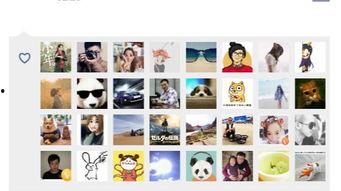 吃瓜群众发朋友圈文案,揭秘吃瓜群众朋友圈背后的趣味与真相