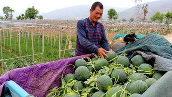 农村里的吃瓜群众叫什么