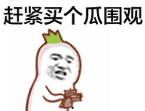 吃瓜群众最新一期,揭秘娱乐圈幕后真相，带你走进明星真实生活！