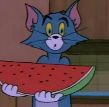 吃瓜群众沙雕图图文,吃瓜群众眼中的趣味瞬间