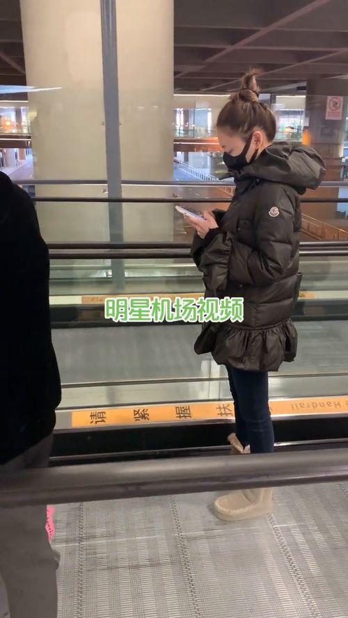 吃瓜群众直播圈路人视角,吃瓜群众视角下的路人风云