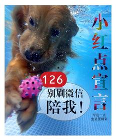 来不及吃瓜的群众