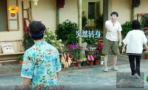 乐陵吃瓜群众事件真相,真相与反思