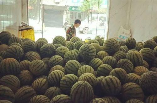 吃瓜群众在哪里 这两天有大瓜,这两天大瓜连连，揭秘幕后真相